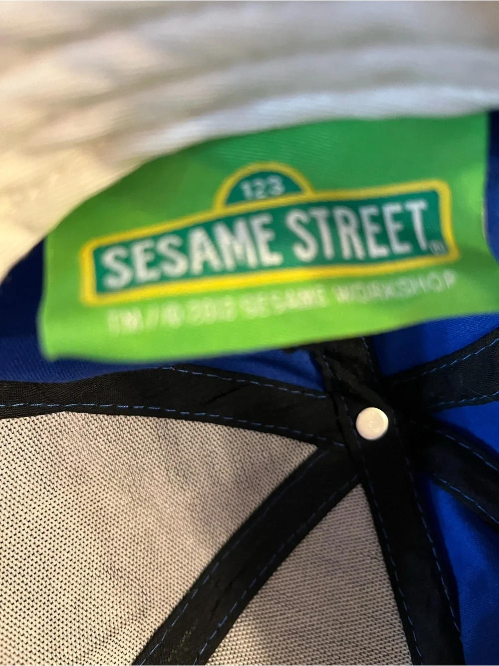 Youth’s Cookie Monster Sesame Street Cap